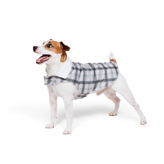 How to Care for Your Dog's Apparel: Maintenance Tips for a Lasting Wardrobe