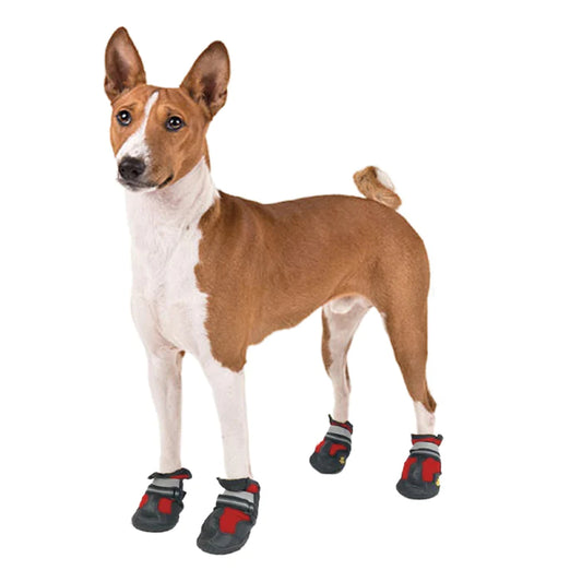 The Health Benefits of Dressing Your Dog: Beyond Fashion