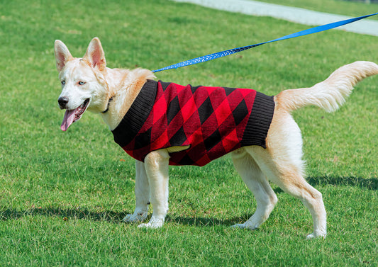 The Importance of Proper Fit: Selecting the Right Size Apparel for Your Pup