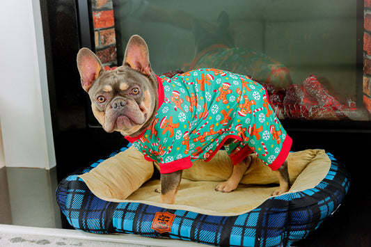 Top 5 Factors to Consider When Choosing the Perfect Outfit for Your Dog