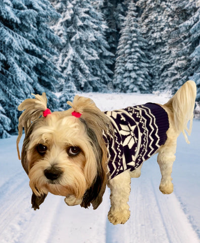 May Your Days Be Snuggly and Bright Dog Holiday Sweater - Blue Nordic Pattern