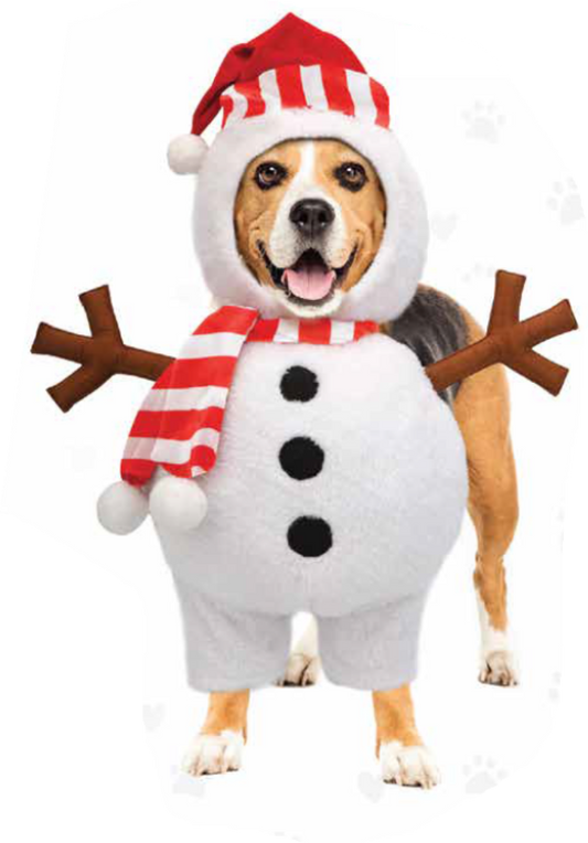 The Show and Tail Forstin Powers Snowman set Dog Costume for Christmas and Party wear Costume