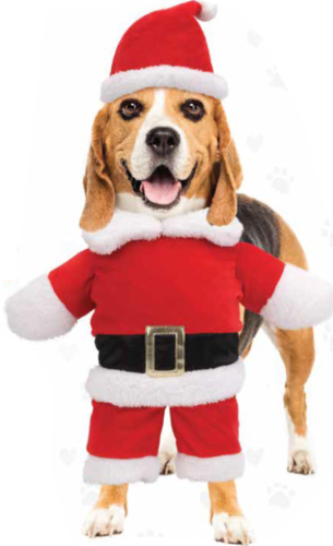 Santa Paws Dog Suit Set