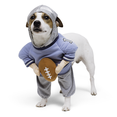 football player dog football