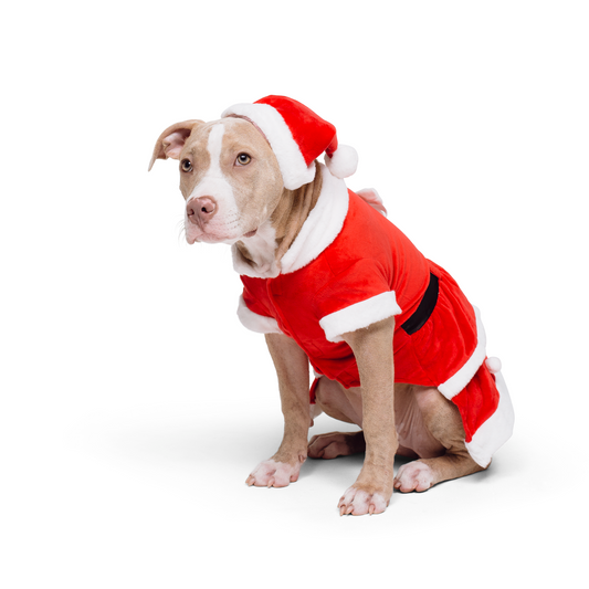 Santa-Paws Dog Holiday Set