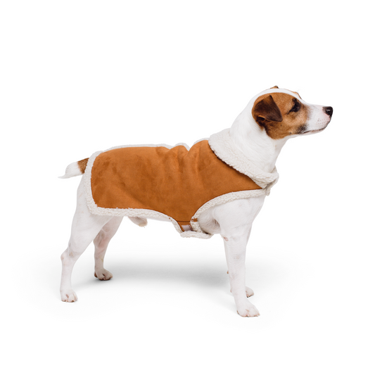 Faux Suede Dog Quilted Coat