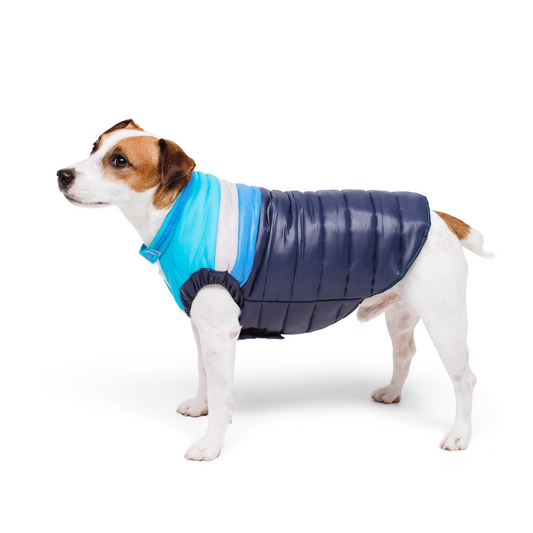 The Bundled Bark