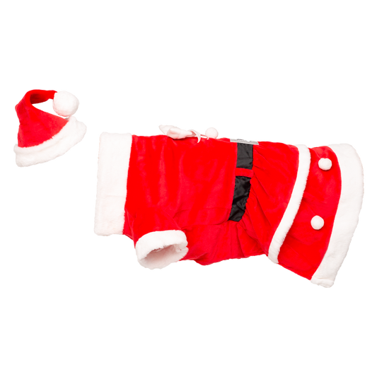 Santa-Paws Dog Holiday Set