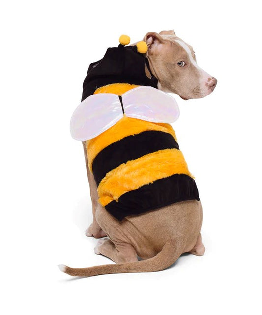 Halloween Costume Ideas for Dogs