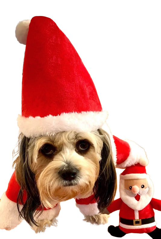 The Chrismutt Santa