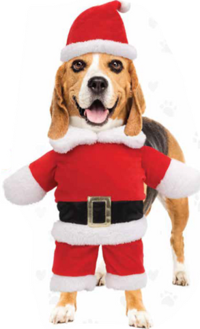 Santa Paws Dog Suit Set