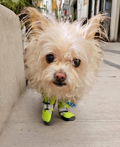 Hot Pavement Boots