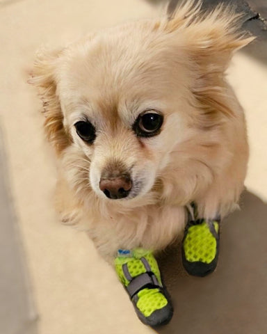 Hot Pavement Boots