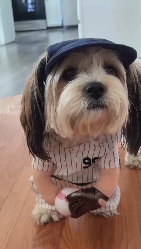 THE HOME RUFF