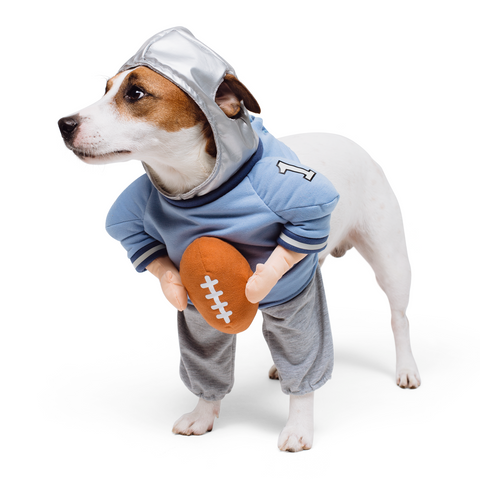 Ready Set Fetch! Football Dog Costume