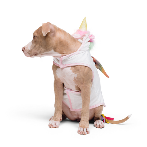 Magical Unicorn Dog Costume