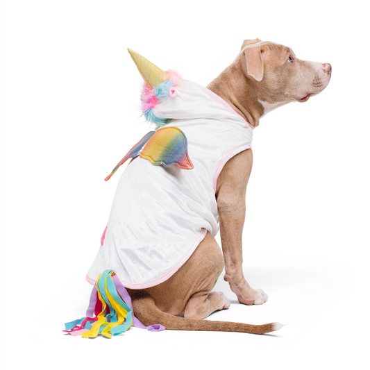 Magical Unicorn Dog Costume