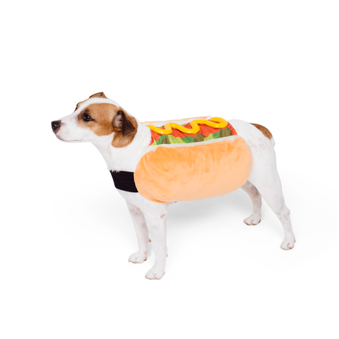Large dog sales hot dog costume