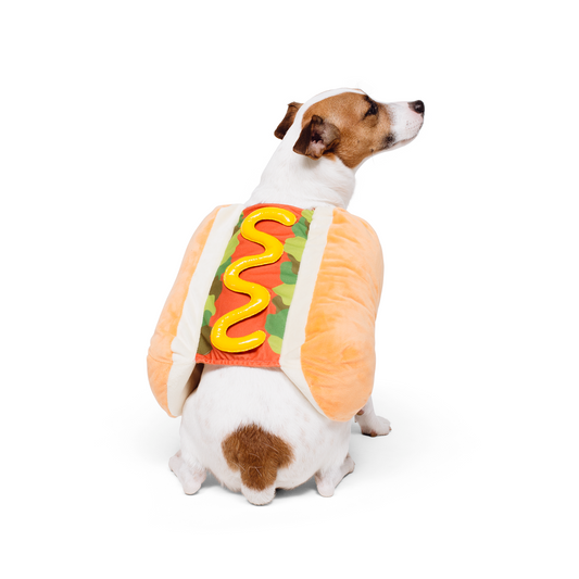 That's One Hot Dog! Pet Hot Dog Costume