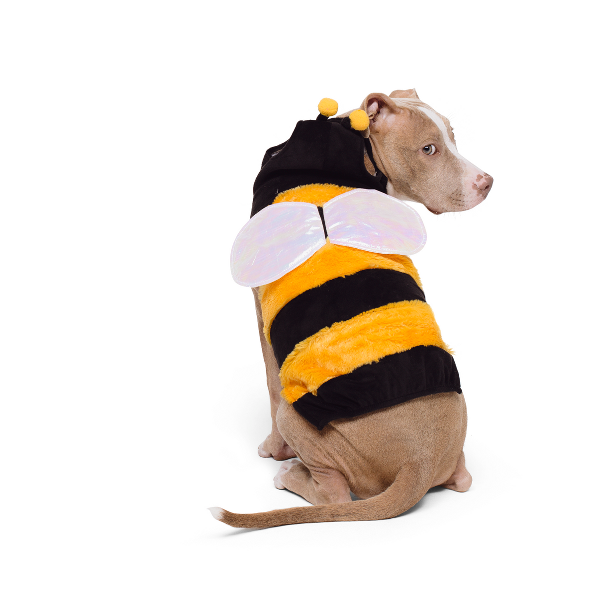 Bumble bee top dog costume
