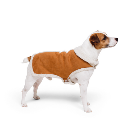 Show & Tail – Apparel And Costumes For Your Dog