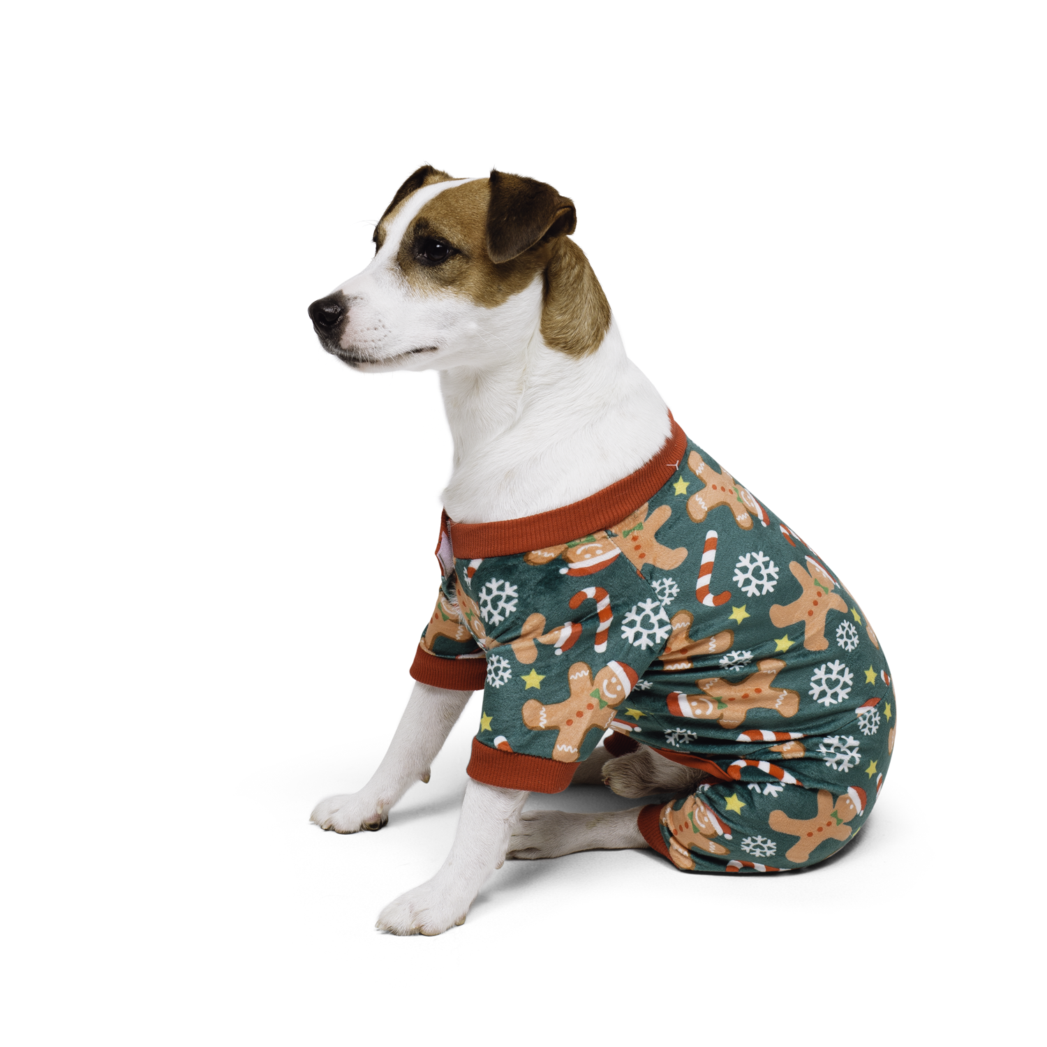 Candy cane discount dog pajamas